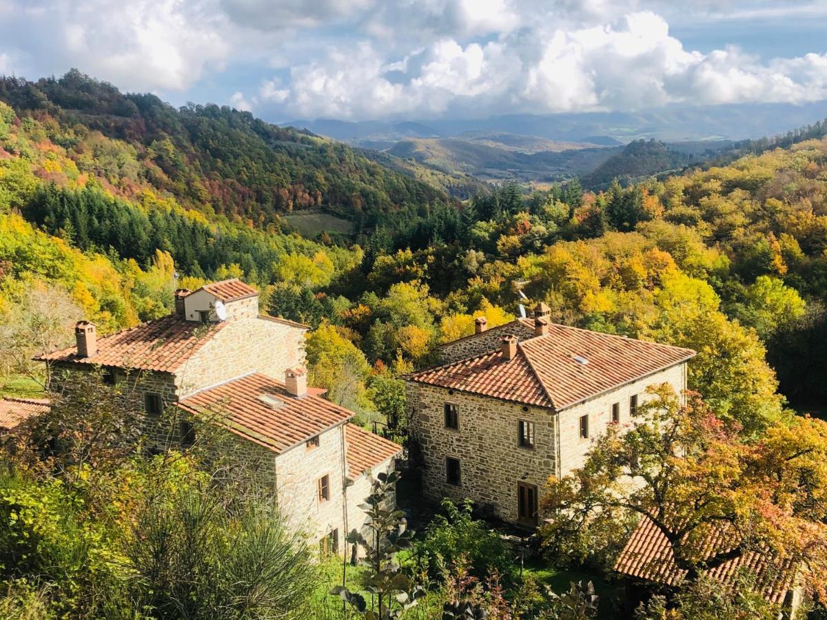 Bio Agriturismo Il Vigno Caprese Michelangelo Exterior foto
