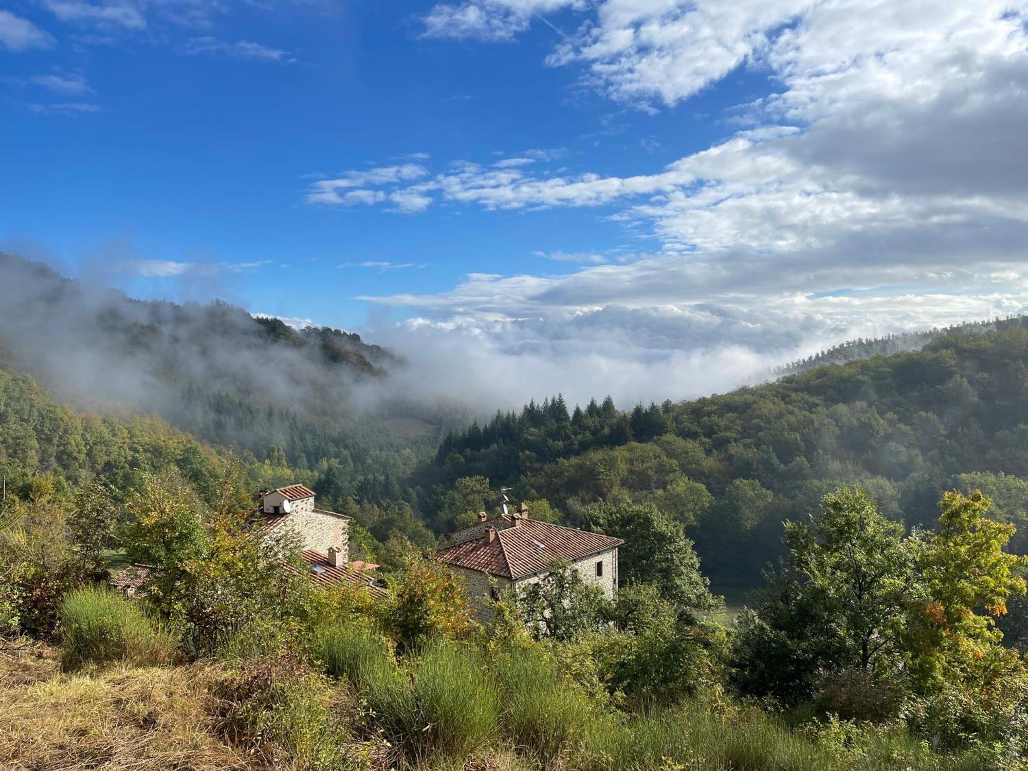 Bio Agriturismo Il Vigno Caprese Michelangelo Exterior foto