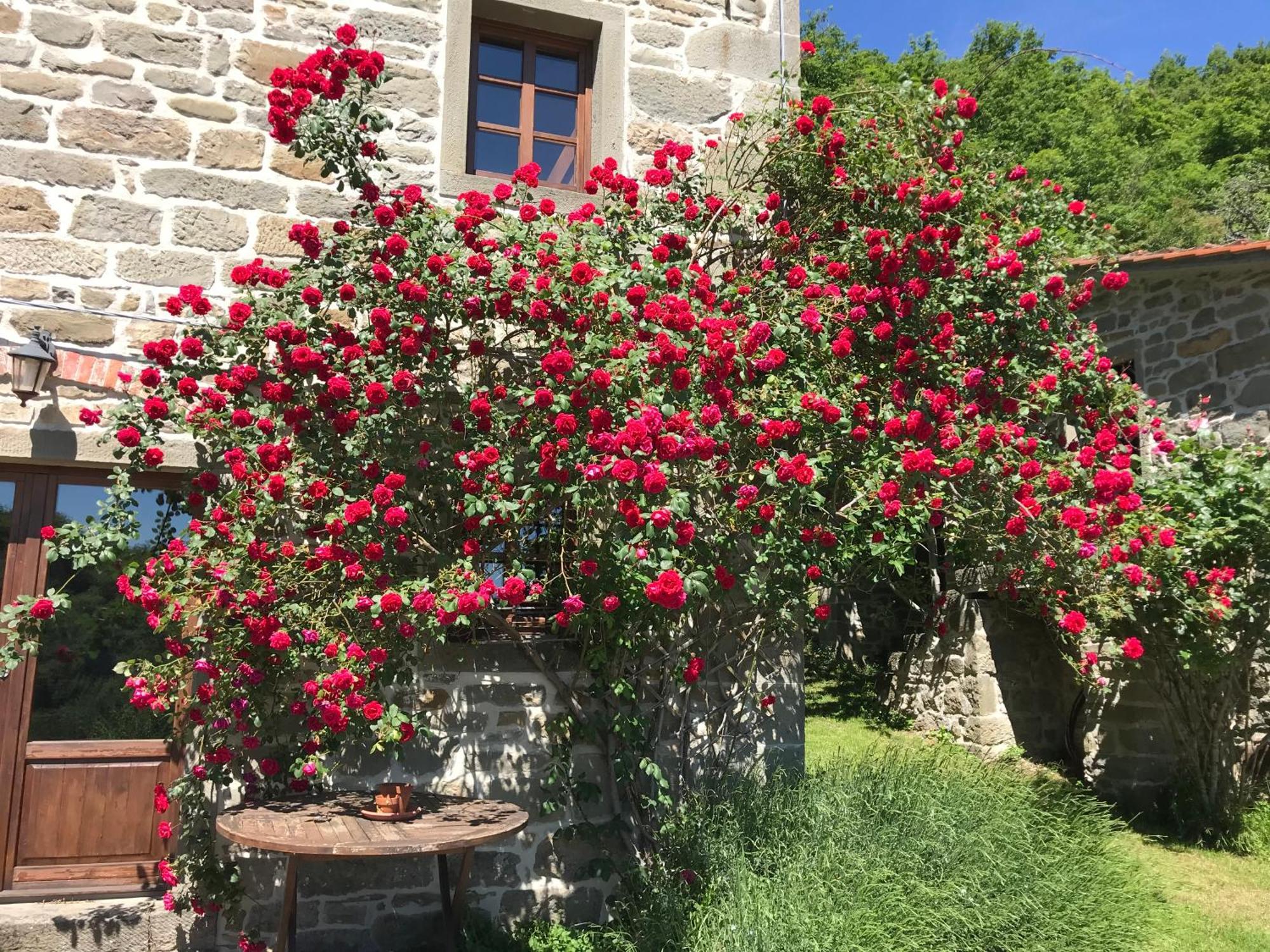 Bio Agriturismo Il Vigno Caprese Michelangelo Exterior foto