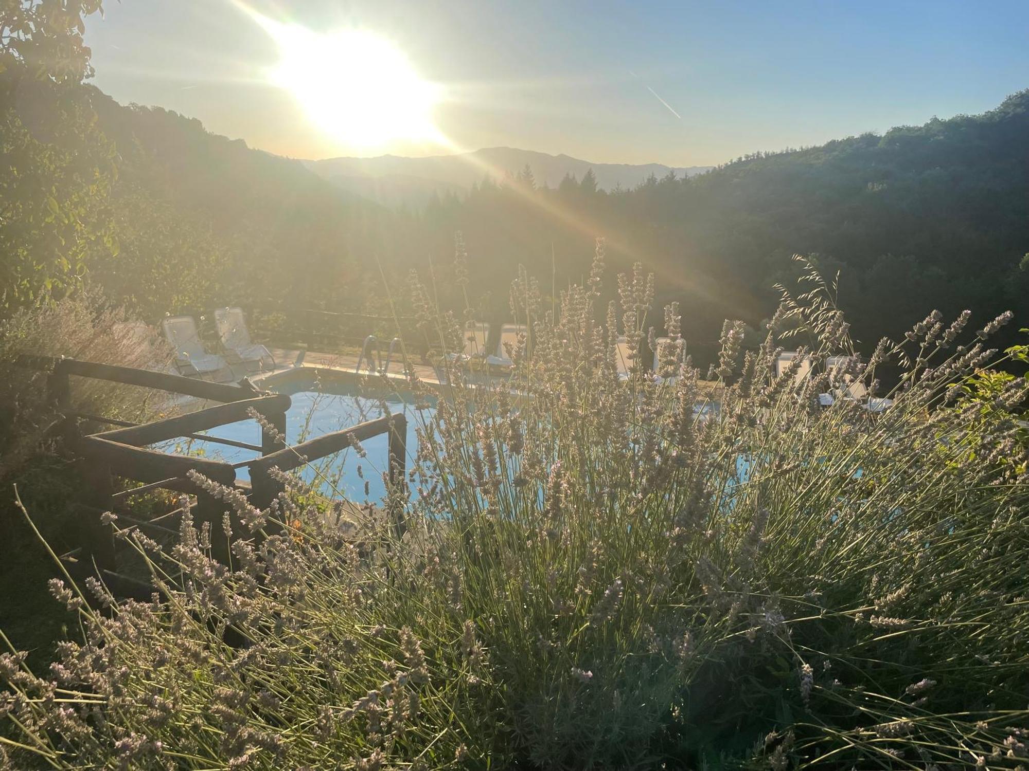 Bio Agriturismo Il Vigno Caprese Michelangelo Exterior foto
