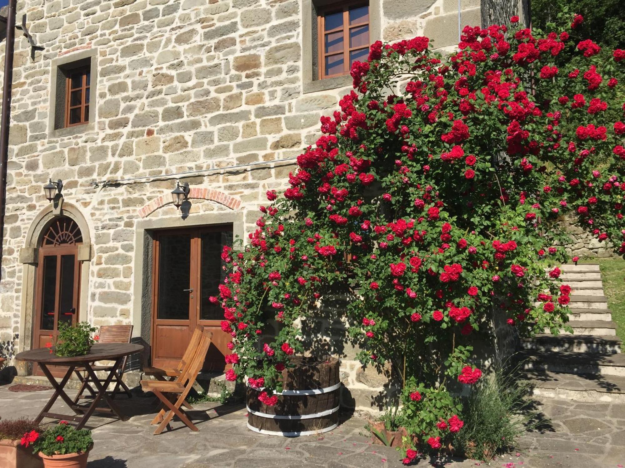 Bio Agriturismo Il Vigno Caprese Michelangelo Exterior foto