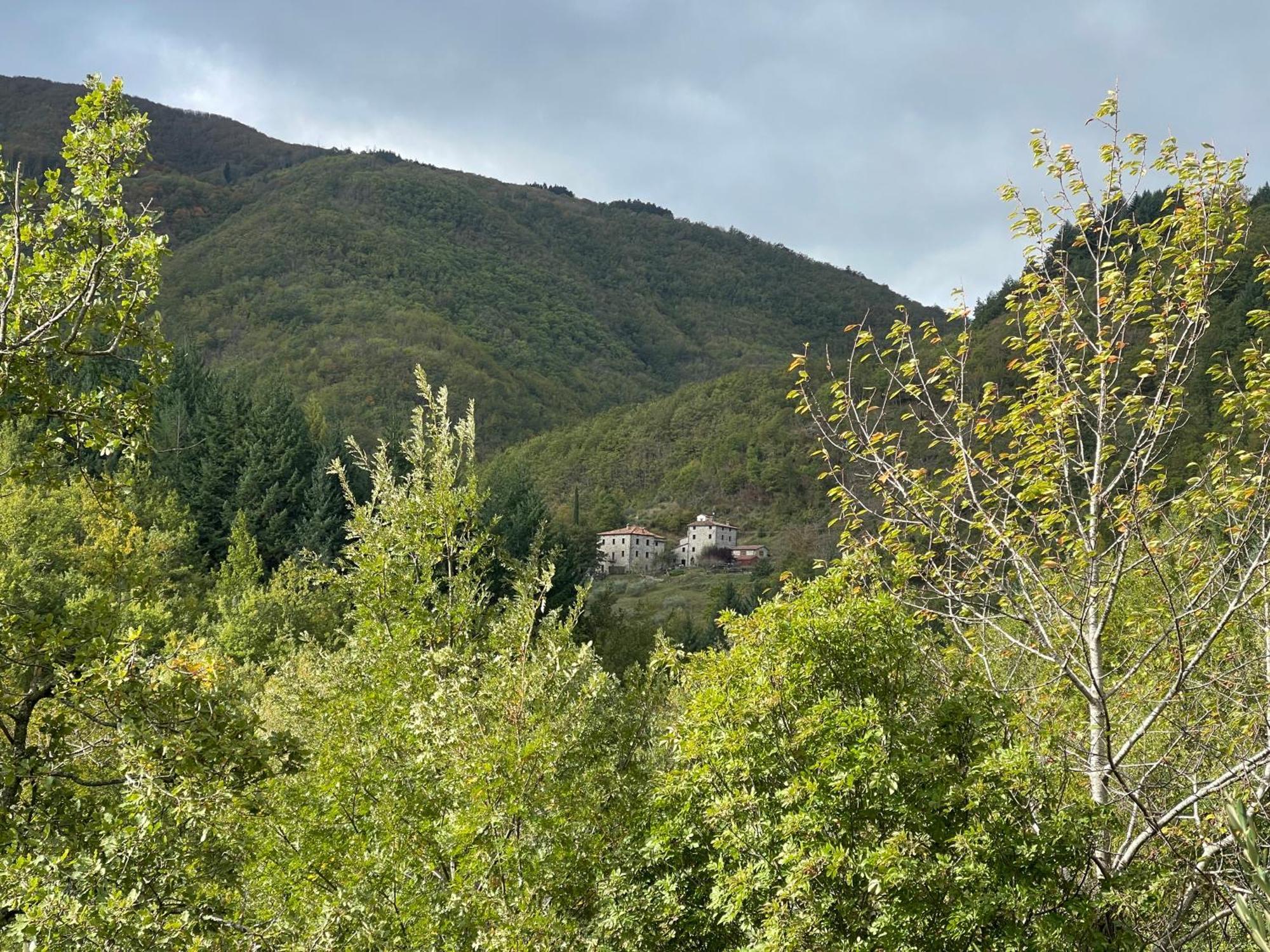 Bio Agriturismo Il Vigno Caprese Michelangelo Exterior foto